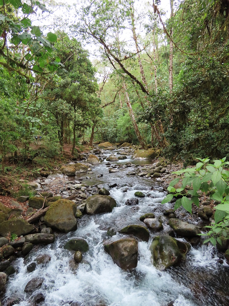 Savegre River. Photo © Gina Nichol 