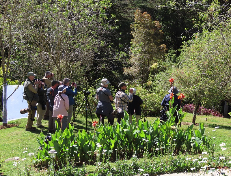 Birding the lodge grounds in San Gerardo. Photo © Gina Nichol