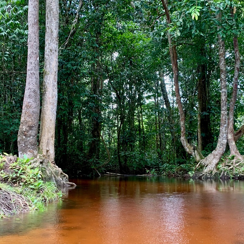 Pueblo Nuevo Creek © Diego Calderon.