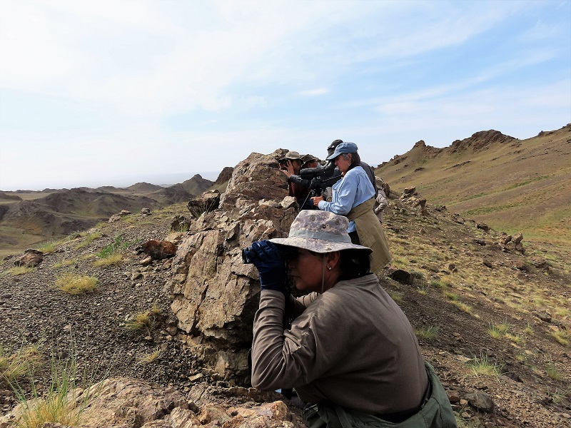 Looking for Snow Leopard. Photo © Gina Nichol 