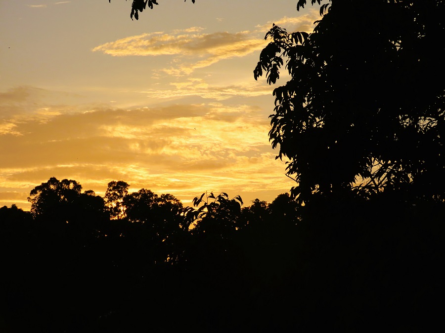 Sunset Sepilok Rainforest Discover Center. Photo © Gina Nichol.