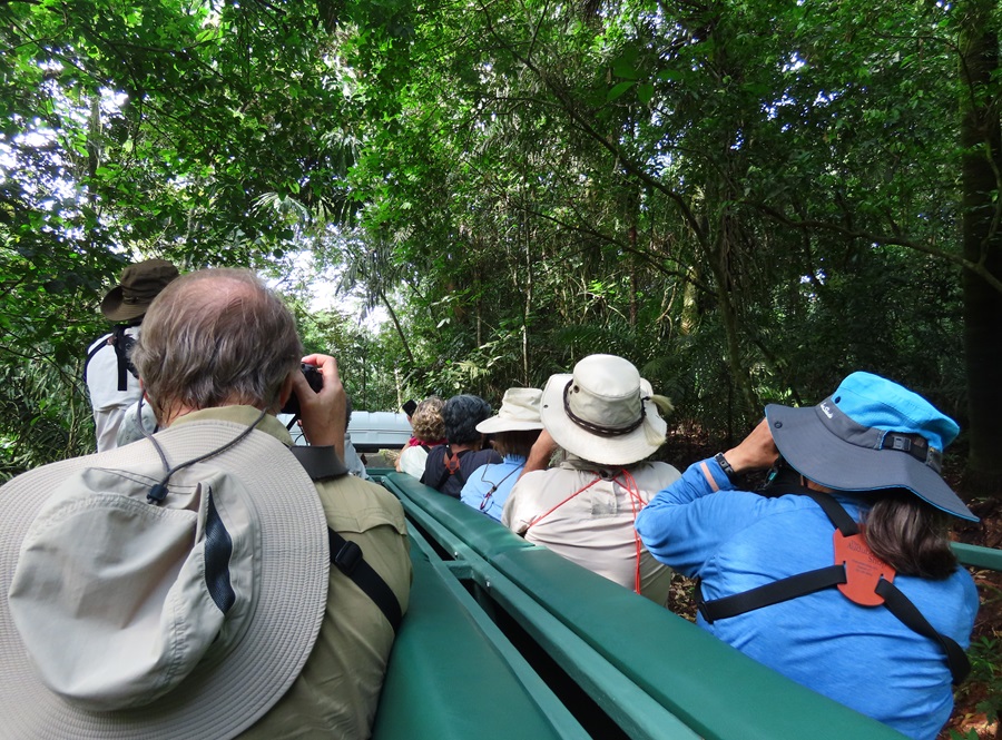 Birding from El Tinamou on Semaphore Hill, Panama. Photo © Gina Nichol.