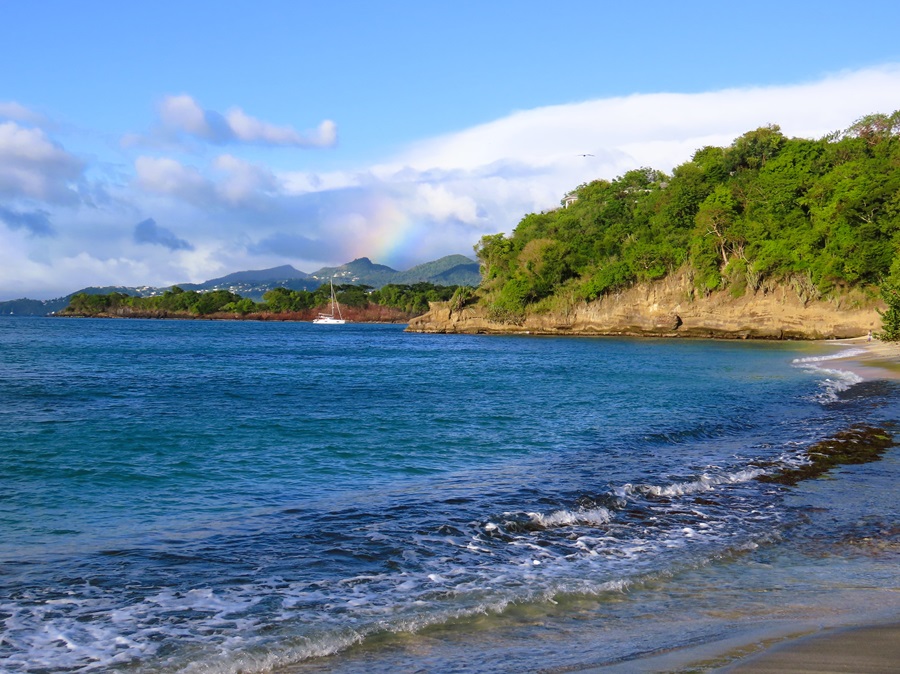 Beach in Grenada. Photo © Gina Nichol.