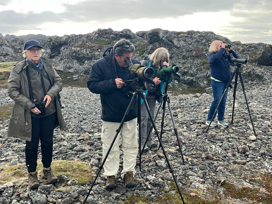 Sunrise Birders in Scandinavia by Frank Mantlik