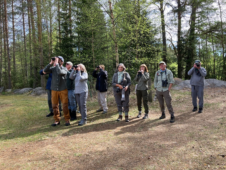 Forest birding in Finland by Julian Hough