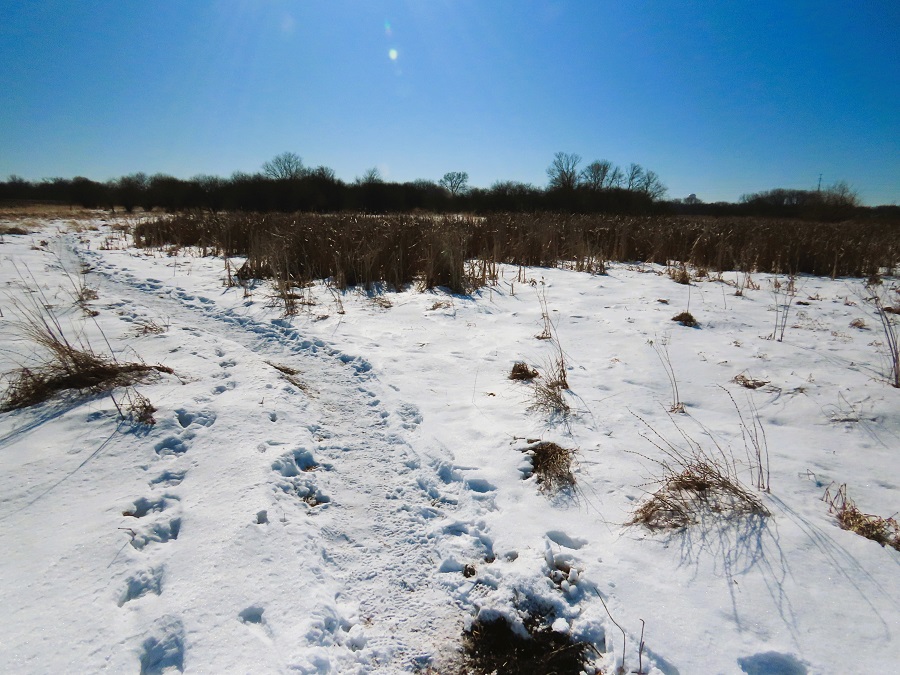 Palmer Lake Basin, Minnesota. Photo © Gina Nichol 
