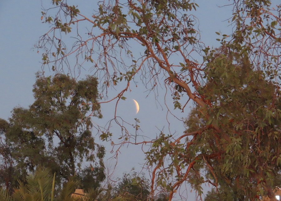 Lunar Eclipse, Morocco © Gina Nichol