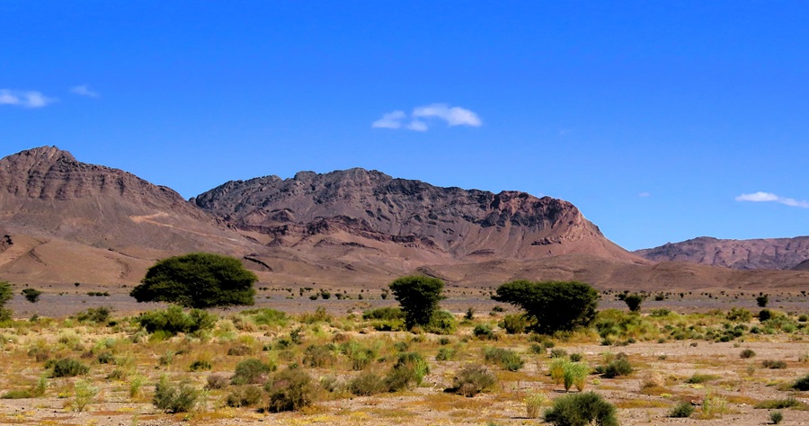 Scenery, Morocco © Gina Nichol