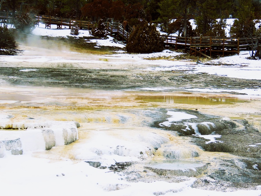 Mammoth Hot Springs. Photo &copy; Gina Nichol 