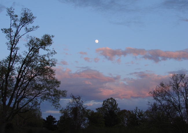 Point Pelee moon