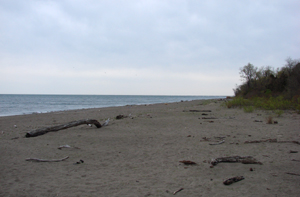 Point Pelee beach