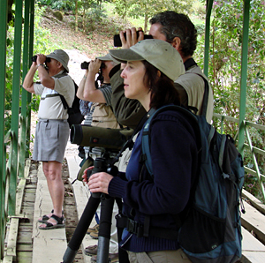Birding on the Savegre River bridge