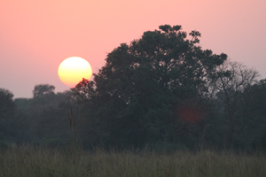 India sunset.  Photo by Peg Abbott.