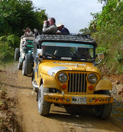 Birding from the Jeeps