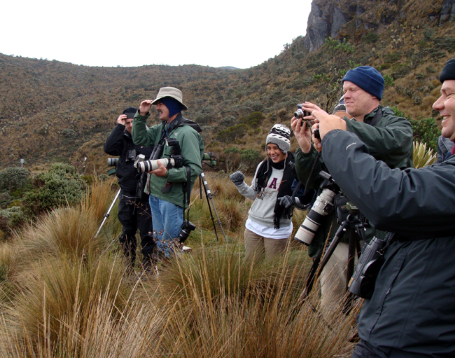 Birders and photographers at Los Nevados National Park, Colombia
