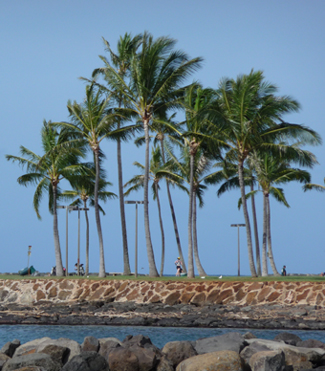 Waikiki waterfront.  Photo by Gina Nichol.