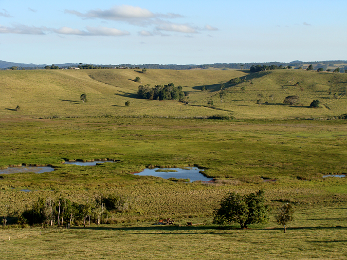 Aussie Landscape
