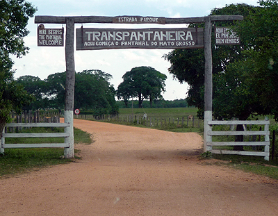 Welcome to the Pantanal!  Photo by Gina Nichol.
