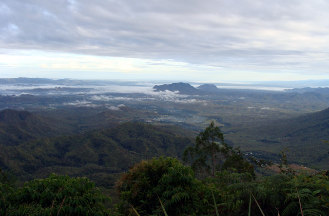 View from Variarata National Park.  Photo by Gina Nichol.