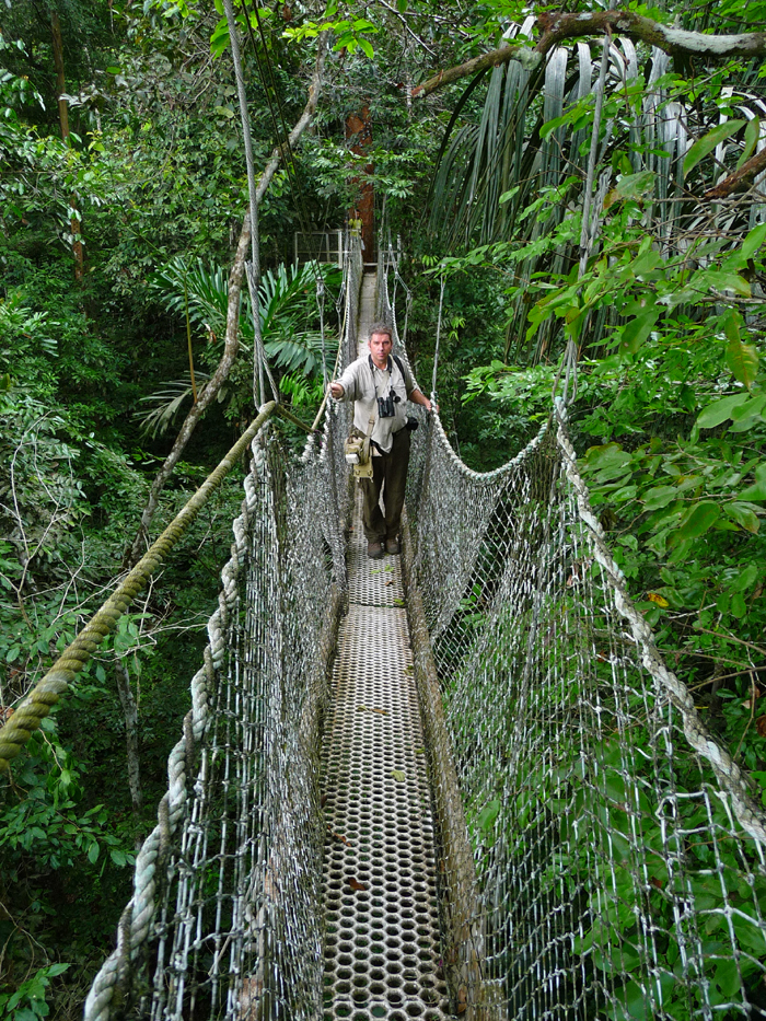 Iwokrama Canopy Walkway. Photo by Gina Nichol.