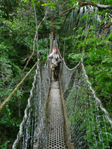 Iwokrama Canopy Walkway. Photo by Gina Nichol. 