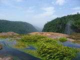 Kaietur Fall from the top. Photo by Gina Nichol. 