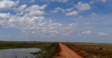 Trans Rupununi Highway