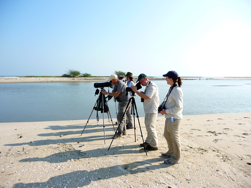 BIRDING AT THE SAND SPIT 