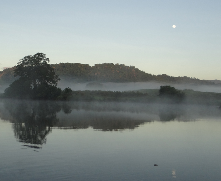 Daintree River