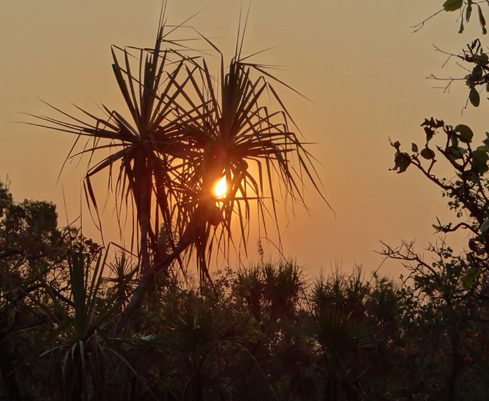 Sunset Kakadu 