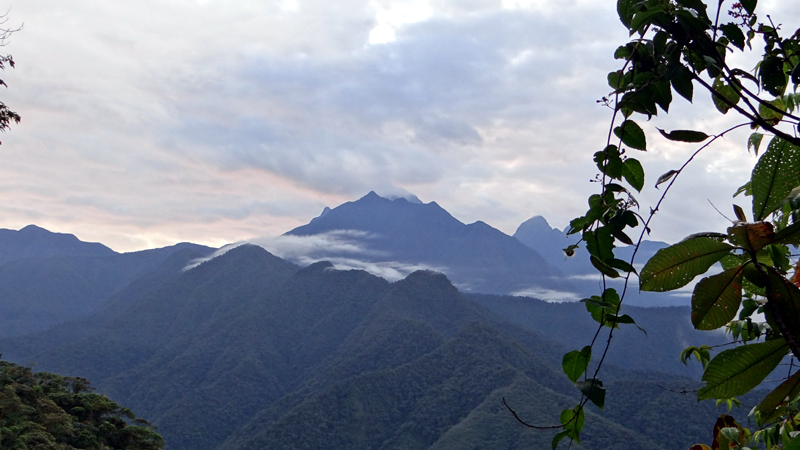 Landscape Western Andes