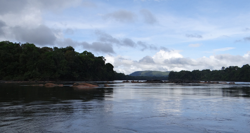 Essequibo River 