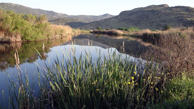 METOCHI LAKE