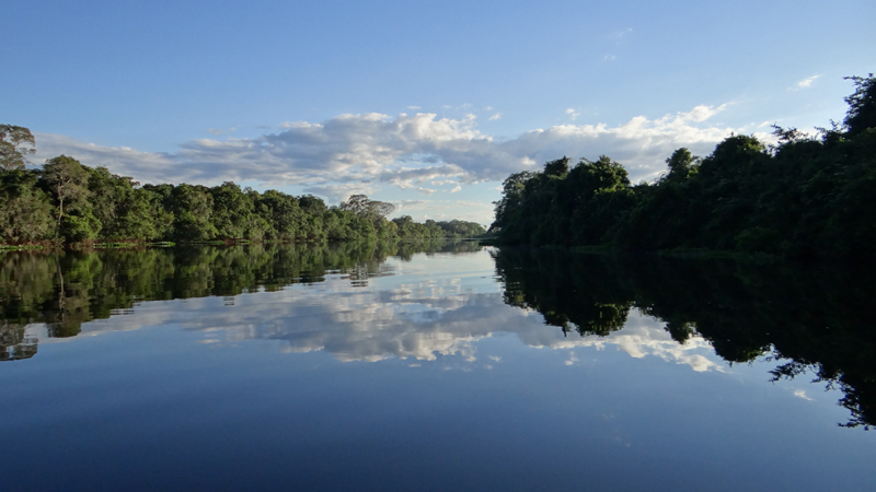 RIVER SCENE 