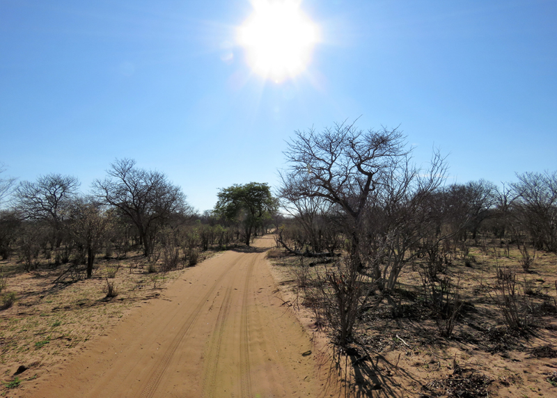 Chobe National Park, Upper Trail 