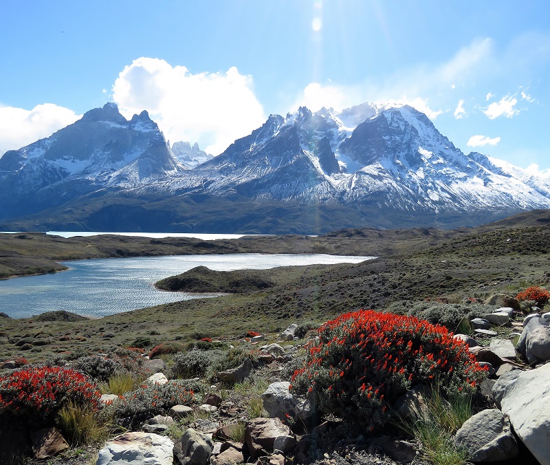 Torres del Paine. Photo by Gina Nichol. 