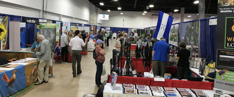 The view from the Sunrise Birding Stand at the American Birding Expo. 