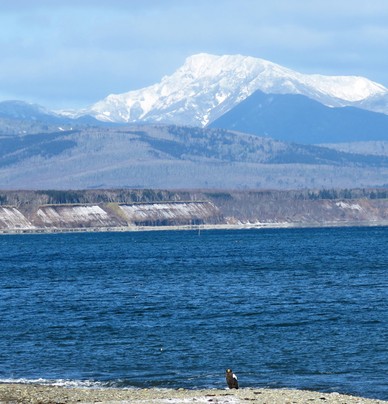 Hokkaido scenery. Photo © Gina Nichol.