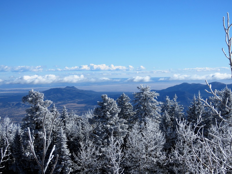 Hoar frost on Sandia Peak. Photo © Gina Nichol.