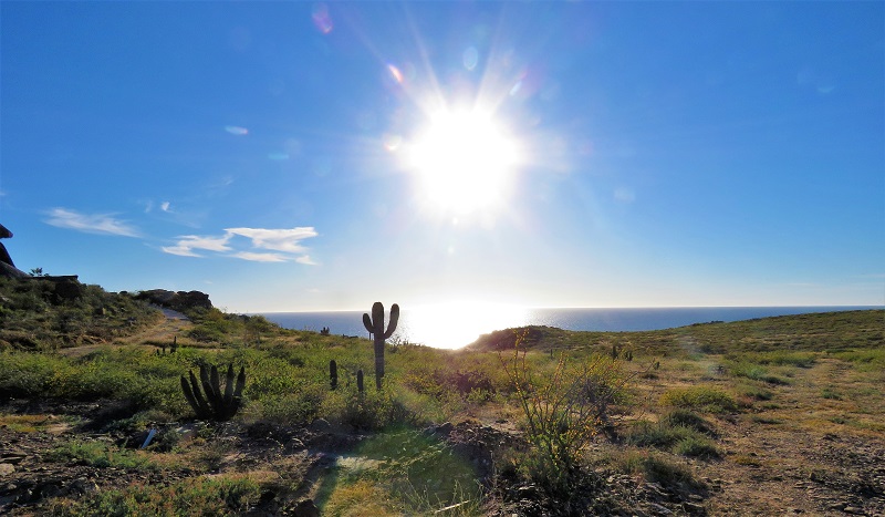 Baja sun. We'll miss it! Photo © Gina Nichol 