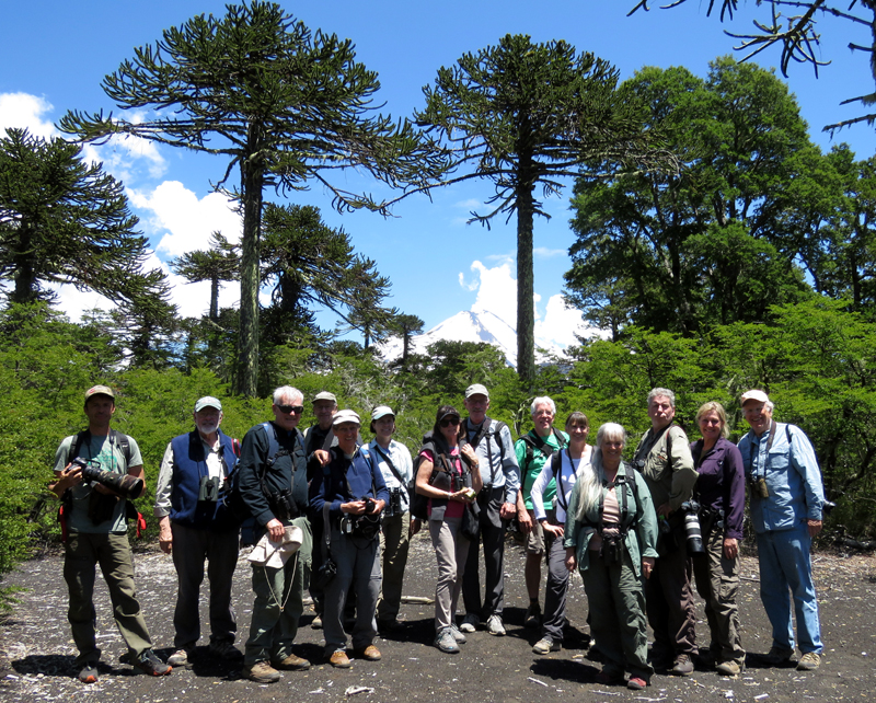 Group at Conguillio National Park. Photo © Gina Nichol.