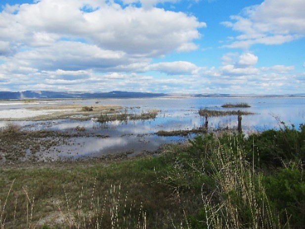 Summer Lake