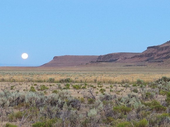 Sagebrush Sea.