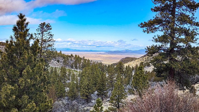 Oregon Landscape