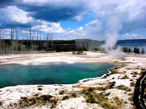 Geysers at Yellowstone by Gina Nichol.