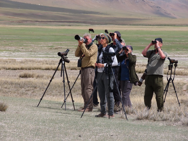 Birding in Mongolia by Gina Nichol. 