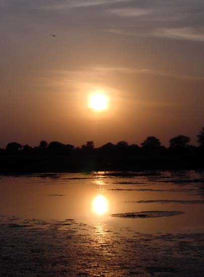 Baratpur_Sunset