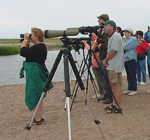 Birders at Sandy Point. Photo by Gina Nichol.
