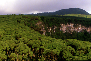 Los Gemelos in the highlands of Santa Cruz.  Photo by Gina Nichol.  