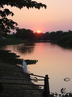 Pantanal sunrise